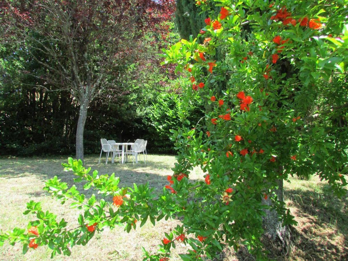 Agriturismo Dea Valfabbrica Exteriör bild
